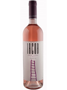 Iacob Rose 2019 | Davino | Dealu Mare