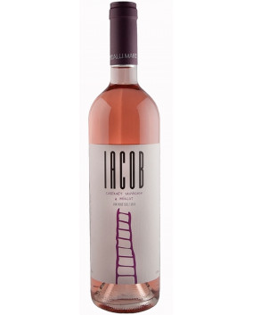 Iacob Rose 2019 | Davino | Dealu Mare