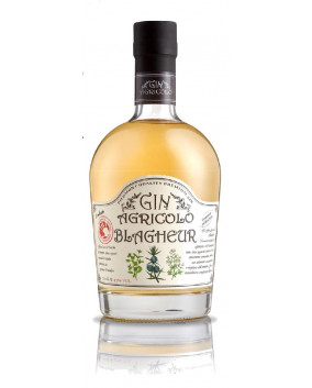 Gin Agricolo Blagheur | Italia | 47%, 70 cl