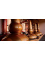 GlenDronach Peated | Highland Single Malt | Scotch Whisky | 70 cl, 46%