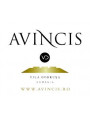 Avincis Cabernet Sauvignon 2019 | Avincis | Dragasani