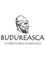 Budureasca Premium Tamaioasa Romaneasca Sec 2018 | Dealu Mare