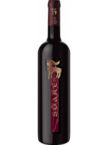 Soare Cabernet Sauvignon 2017 | VinArte | Samburesti