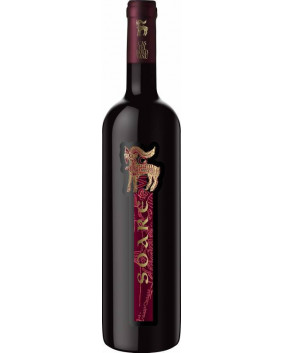 Soare Cabernet Sauvignon 2017 | VinArte | Samburesti